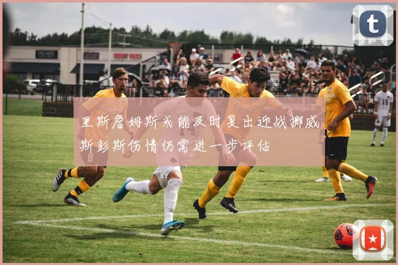 里斯詹姆斯或能及时复出迎战挪威斯彭斯伤情仍需进一步评估