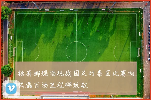杨莉娜现场观战国足对泰国比赛向武磊百场里程碑致敬